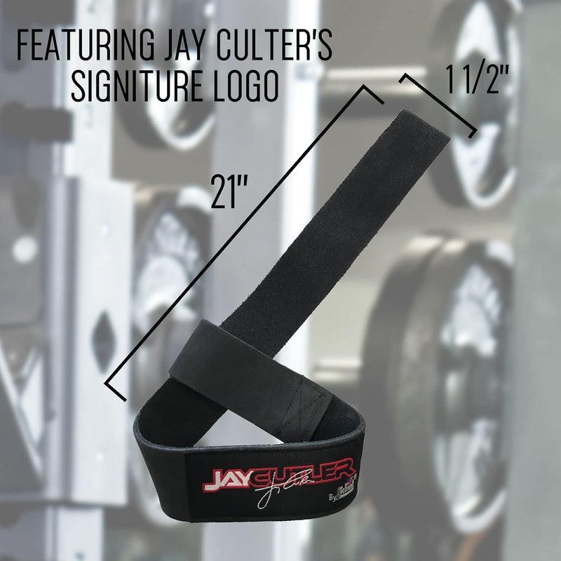 Schiek Model J-1000LLS Jay Cutler Signature Leather Lifting Straps