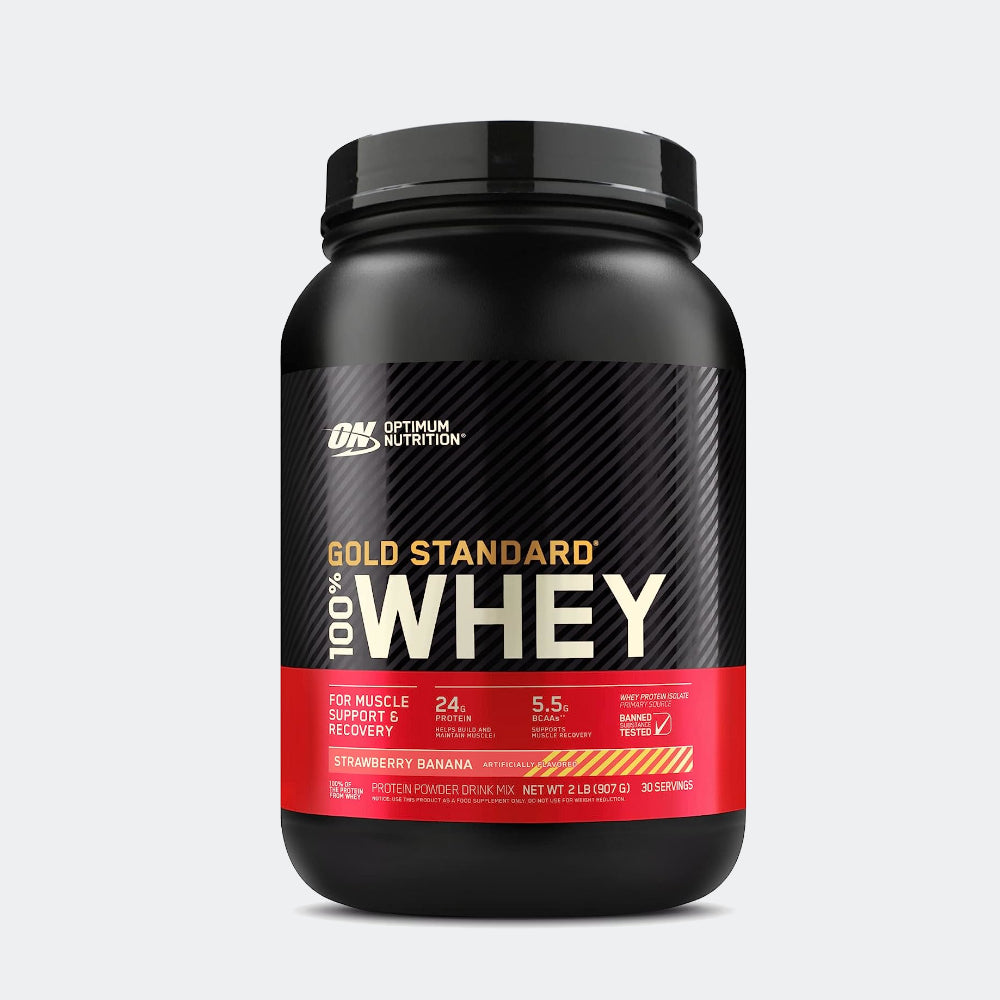 Optimum Nutrition 100% Gold Standard Whey + Blender Stainless Steel Shaker Bottle