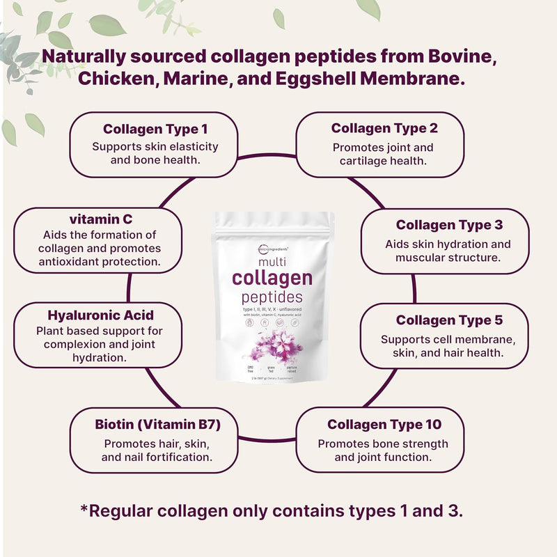 Micro Ingredients Multi Collagen Peptides, Type I, II, III, V, X, Unflavored, 2lb