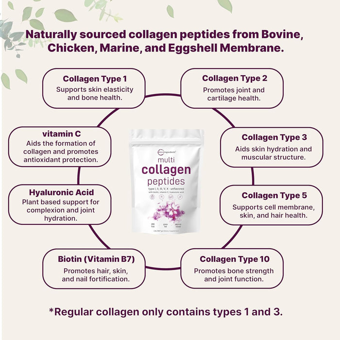 Micro Ingredients Multi Collagen Peptides, Type I, II, III, V, X, Unflavored, 2lb