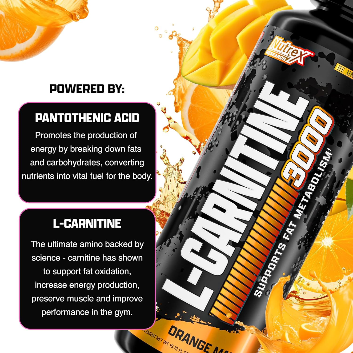 Nutrex Research Liquid Carnitine 3000 - 31 Servings, 16 Fl Oz