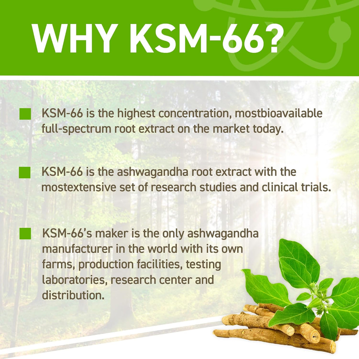 Applied Nutrition Ashwagandha KSM-66 - 60 Capsules