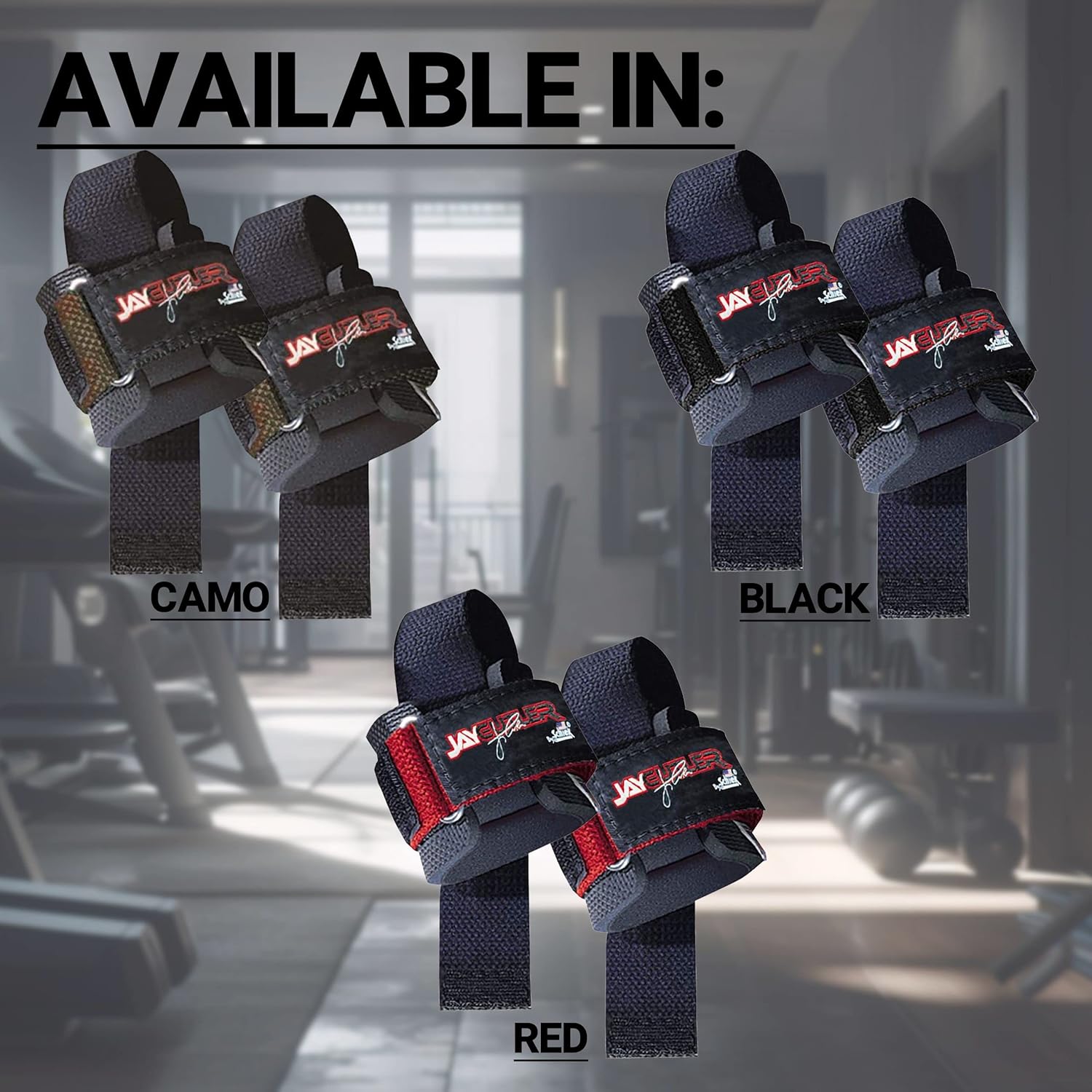 Schiek Model J-1000PLS Jay Cutler Signature Power Lifting Straps