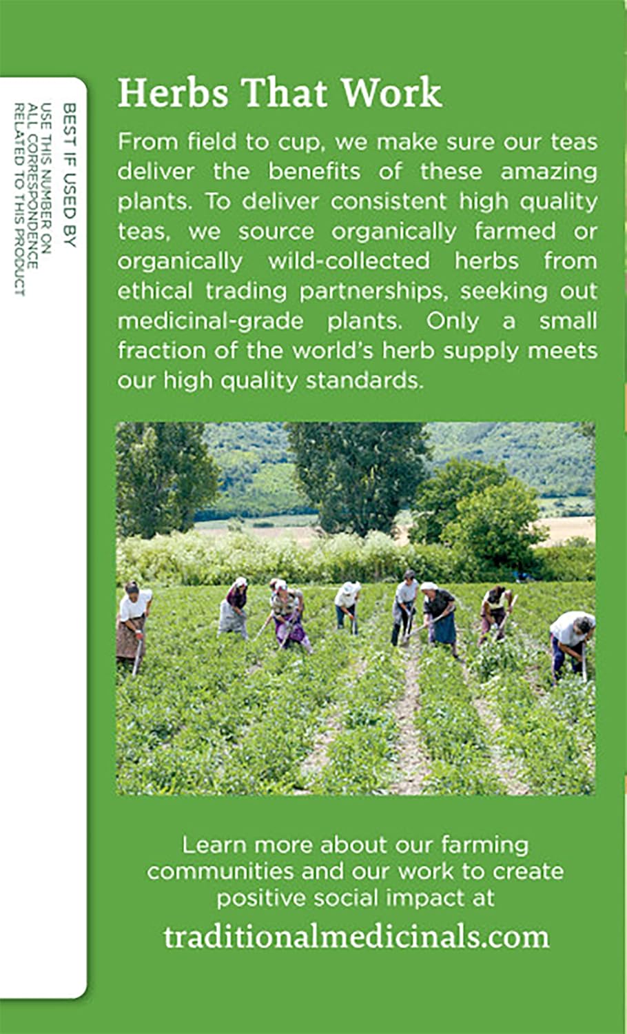 Traditional Medicinals Organic Green Tea - 16 Tea Bags - Clearance Sale