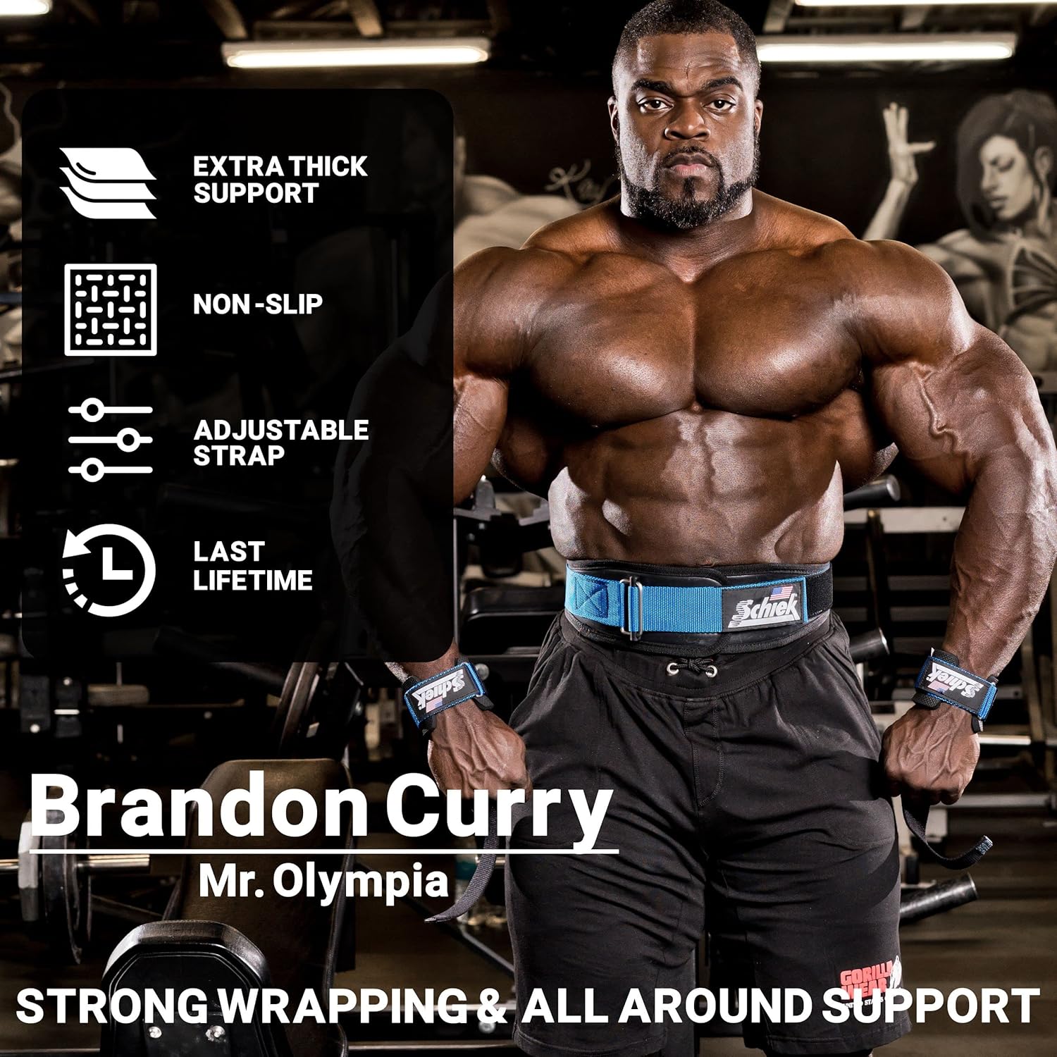 Schiek Model 1000PLS Power Lifting Straps