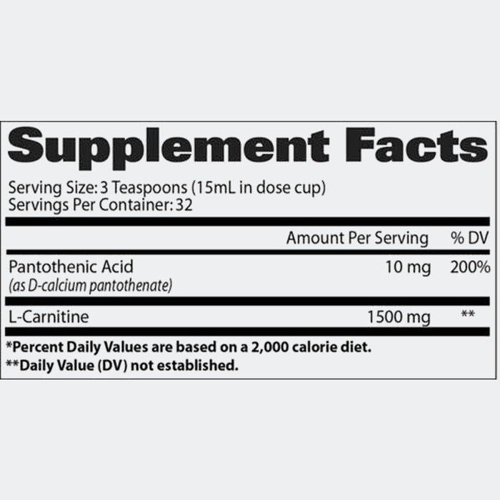 GAT SPORT Essentials Liquid L-Carnitine 32 Servings 1500MG Amino Acid