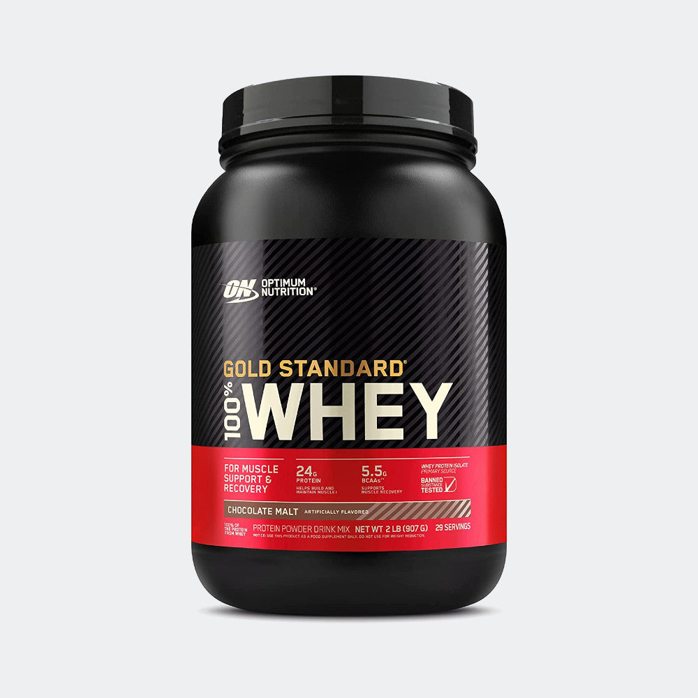 Optimum Nutrition 100% Gold Standard Whey + Blender Stainless Steel Shaker Bottle