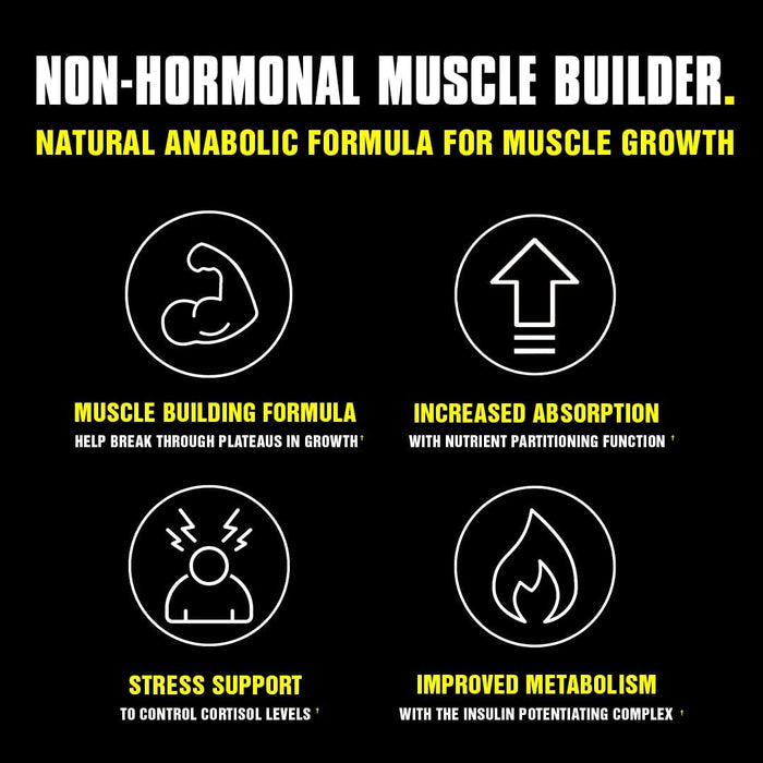 Universal Nutrition Animal M Stak 21 Packs, Complete Non-Hormonal Pack