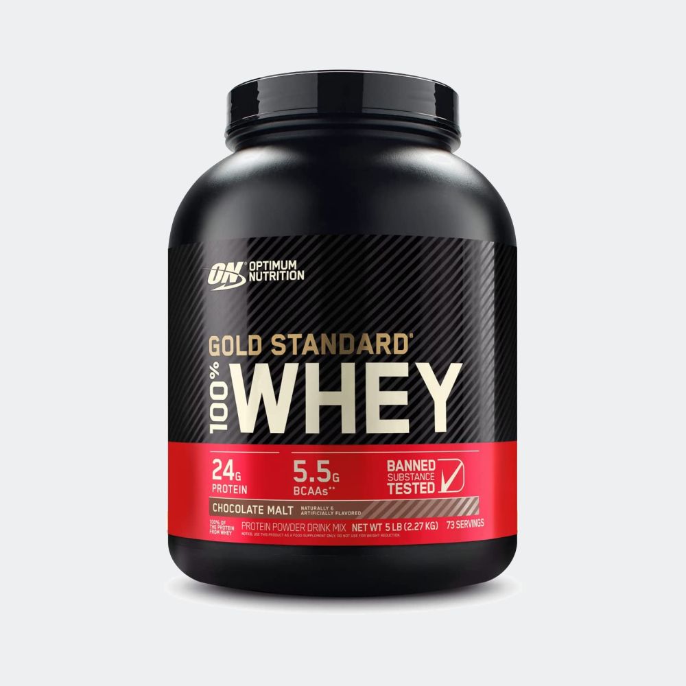 Optimum Nutrition 100% Gold Standard Whey + Blender Stainless Steel Shaker Bottle