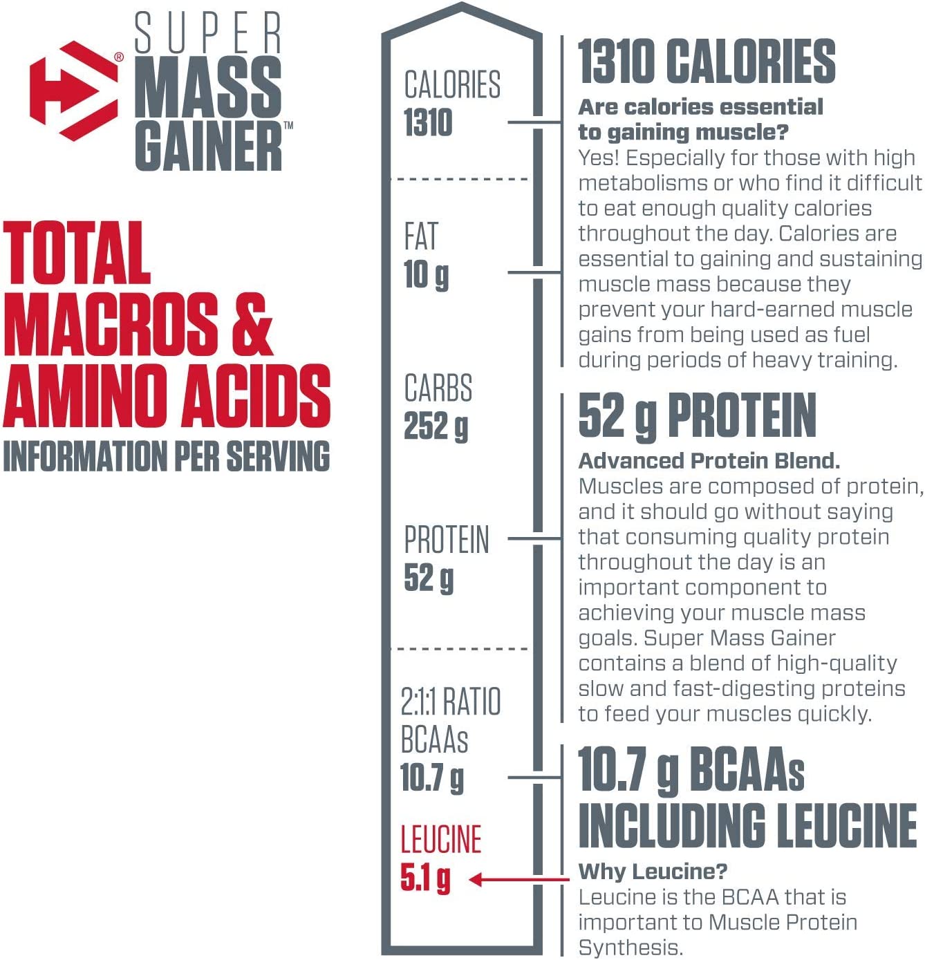 Dymatize Super Mass Gainer High Protein & Carb Blend Protein Powder