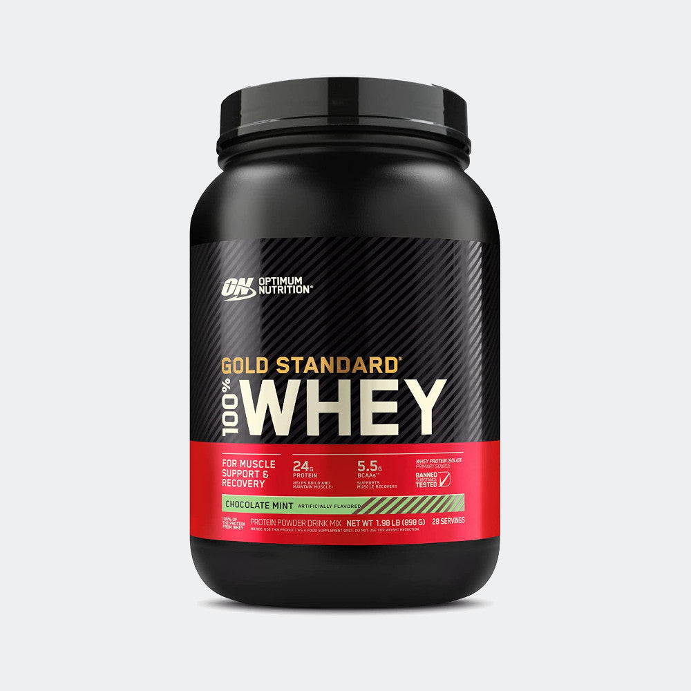 Optimum Nutrition 100% Gold Standard Whey + Blender Stainless Steel Shaker Bottle