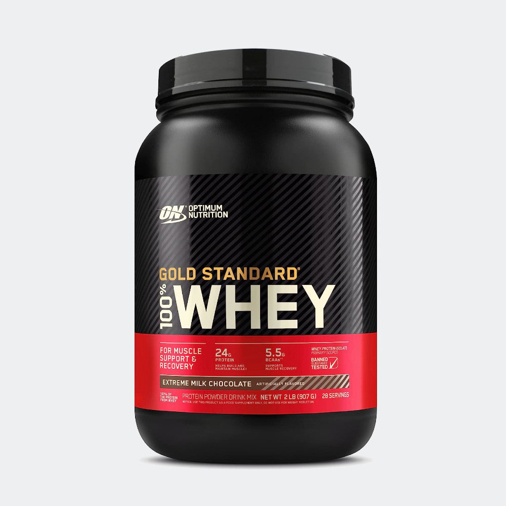 Optimum Nutrition 100% Gold Standard Whey + Blender Stainless Steel Shaker Bottle