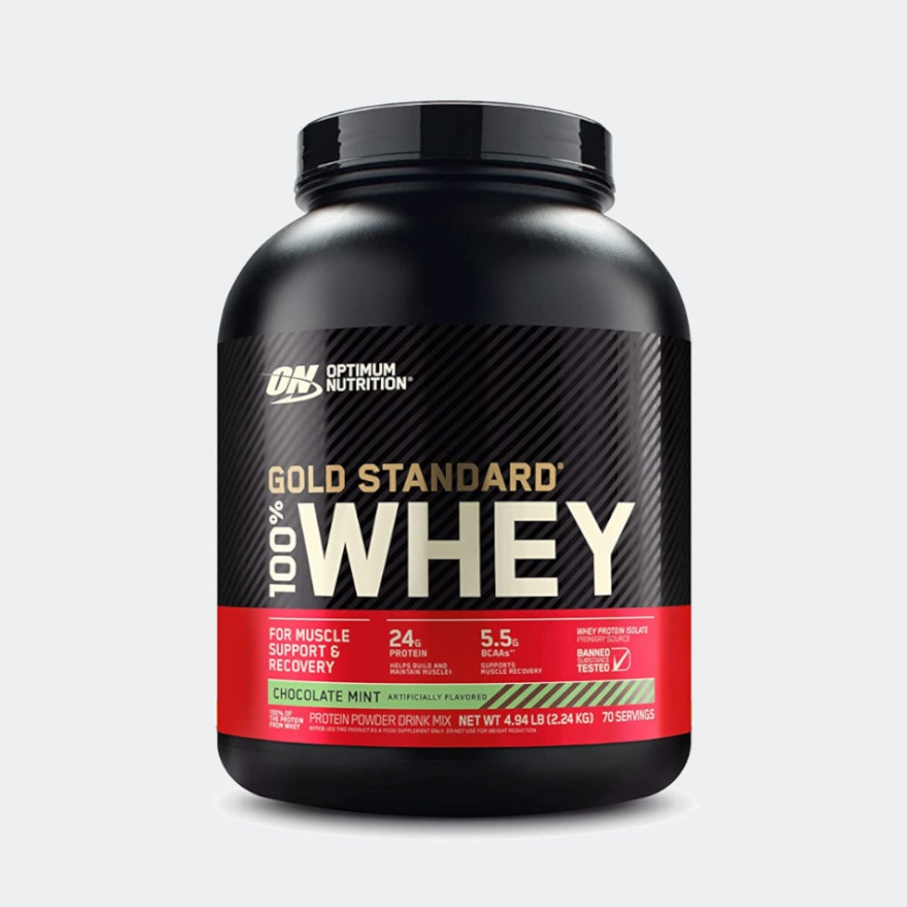 Optimum Nutrition 100% Gold Standard Whey + Blender Stainless Steel Shaker Bottle